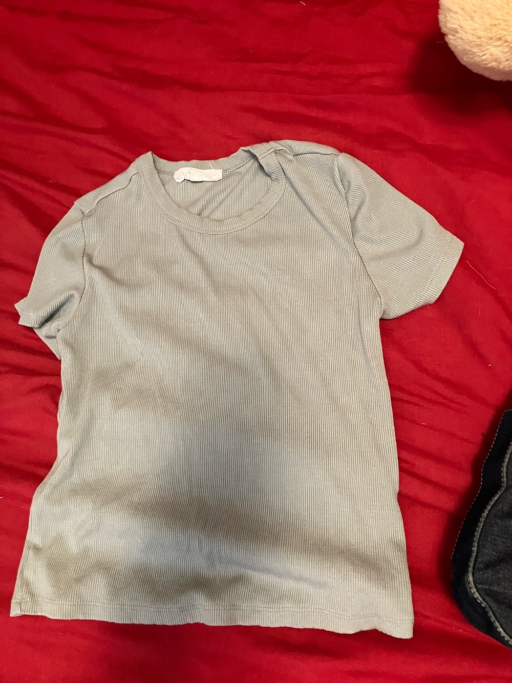 Light Sage Ribbed Short Sleeve Tee